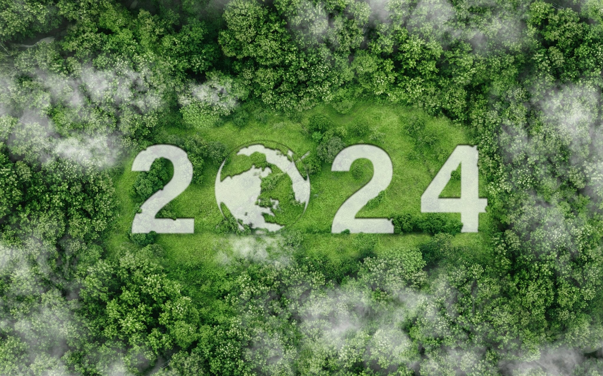 Navigating the Future 2024's Top Trends in Sustainable Products Eco