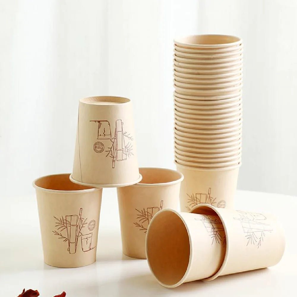 Bamboo Fiber Disposable Cups - Eco Wonders