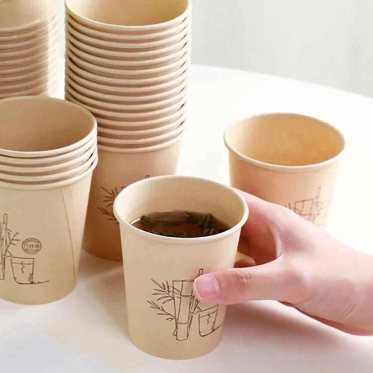 Bamboo Fiber Disposable Cups - Eco Wonders