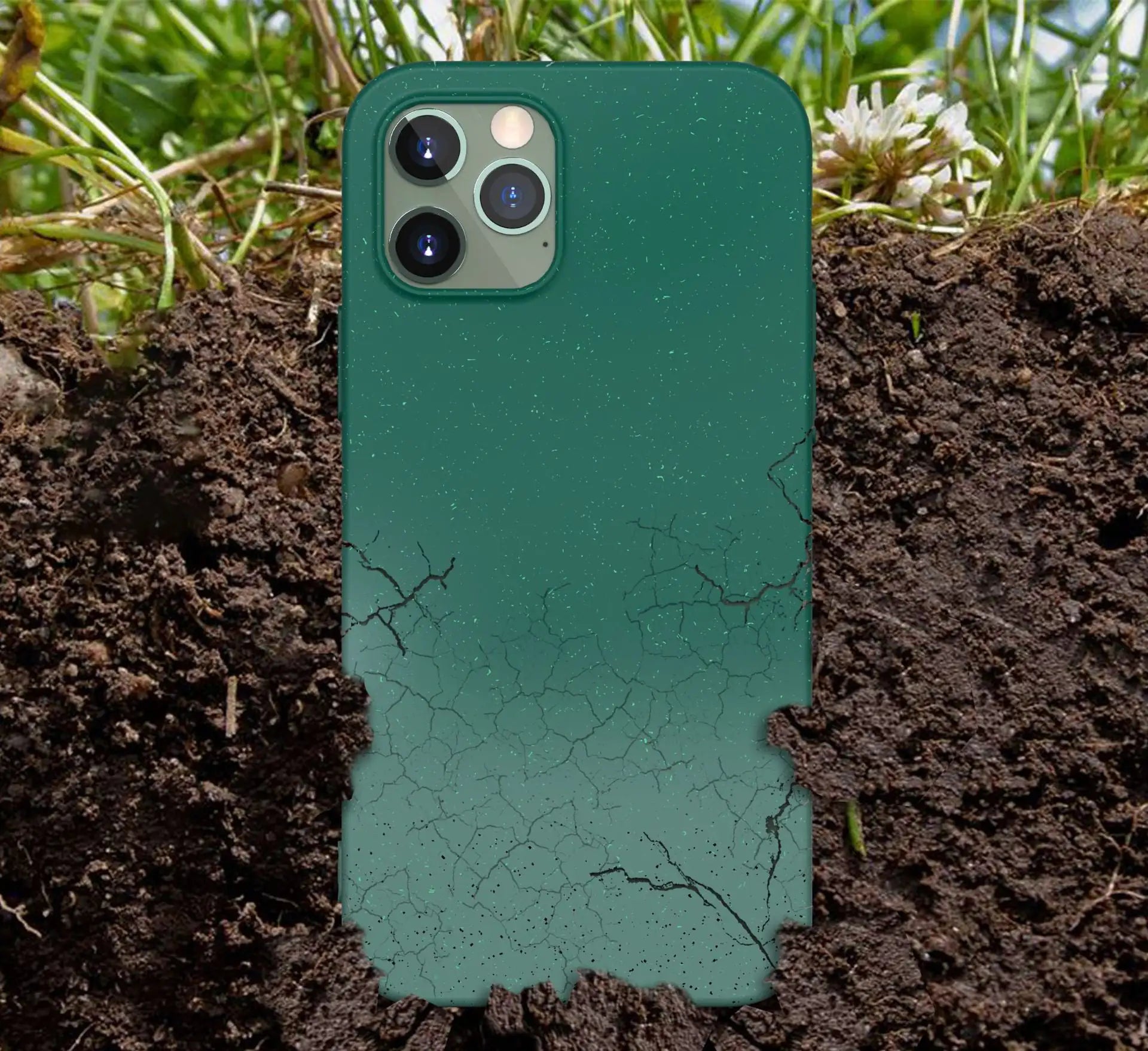 Eco - Friendly Case - Eco Wonders